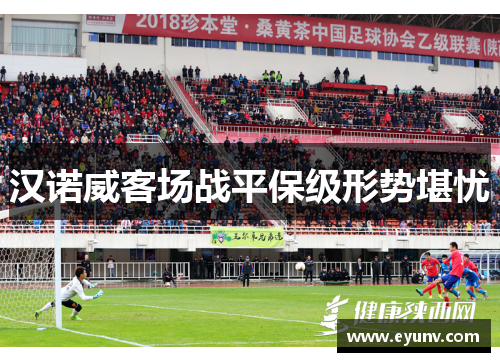 汉诺威客场战平保级形势堪忧