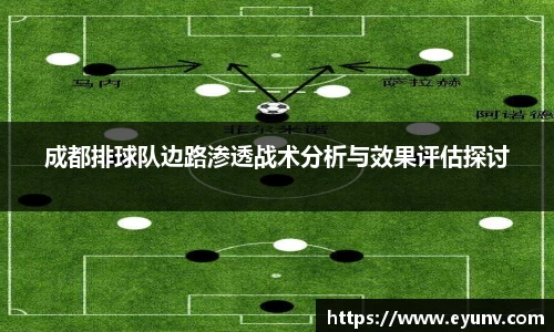 成都排球队边路渗透战术分析与效果评估探讨